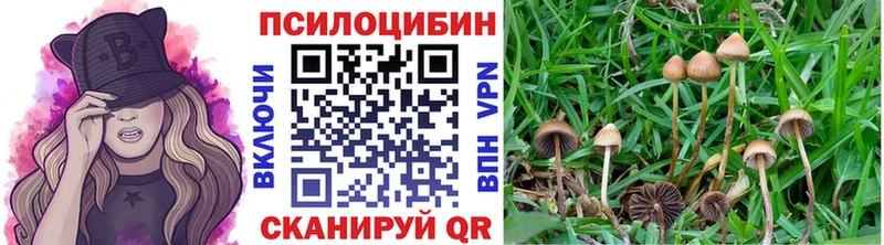 Псилоцибиновые грибы Psilocybine cubensis  где купить наркоту  Йошкар-Ола 
